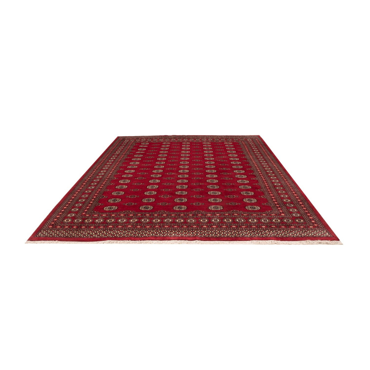 Alfombra afgana - Bukhara - 323 x 248 cm - rojo