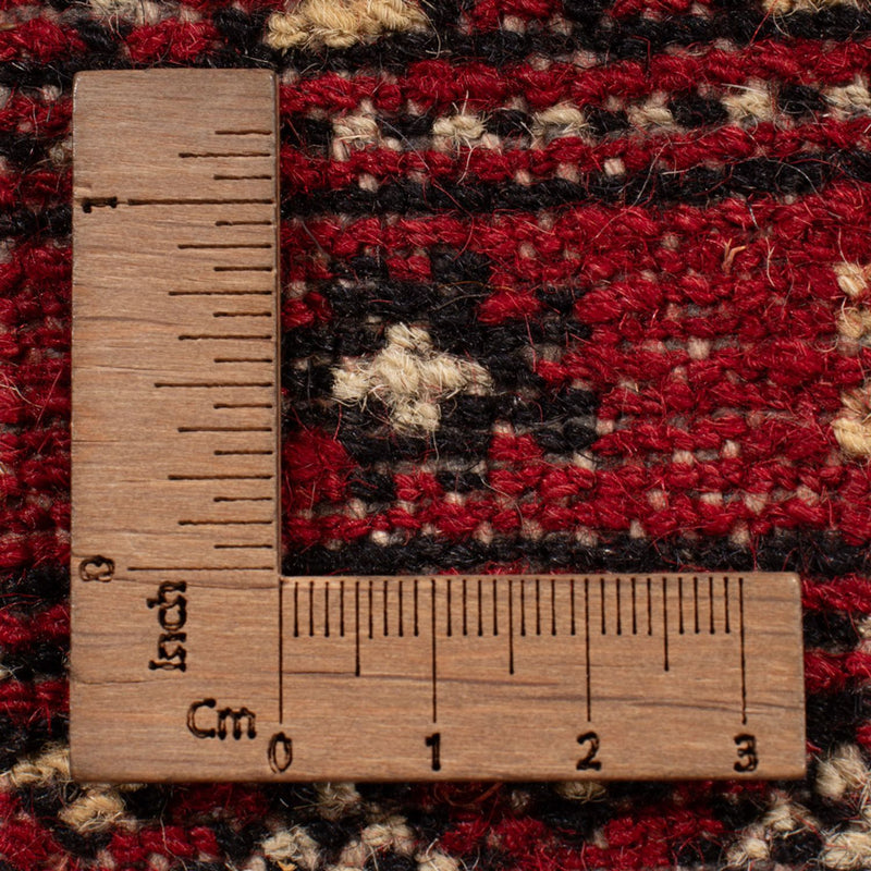 Alfombra afgana - Bukhara - 323 x 248 cm - rojo