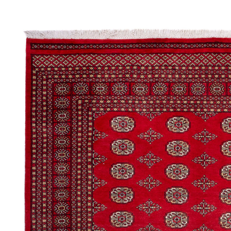 Alfombra afgana - Bukhara - 321 x 247 cm - rojo