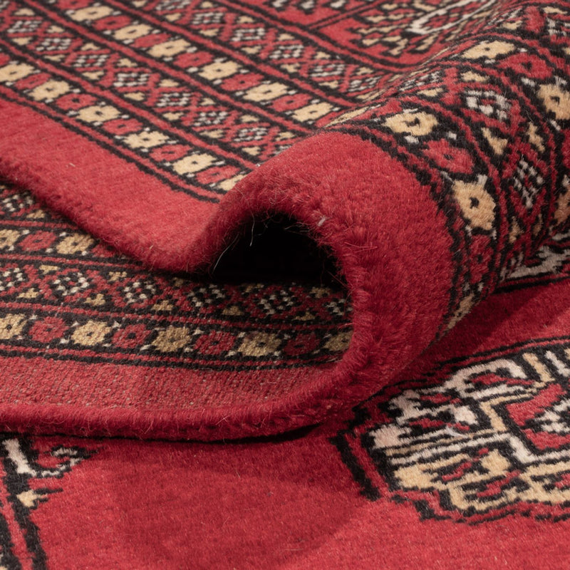 Alfombra afgana - Bukhara - 321 x 247 cm - rojo