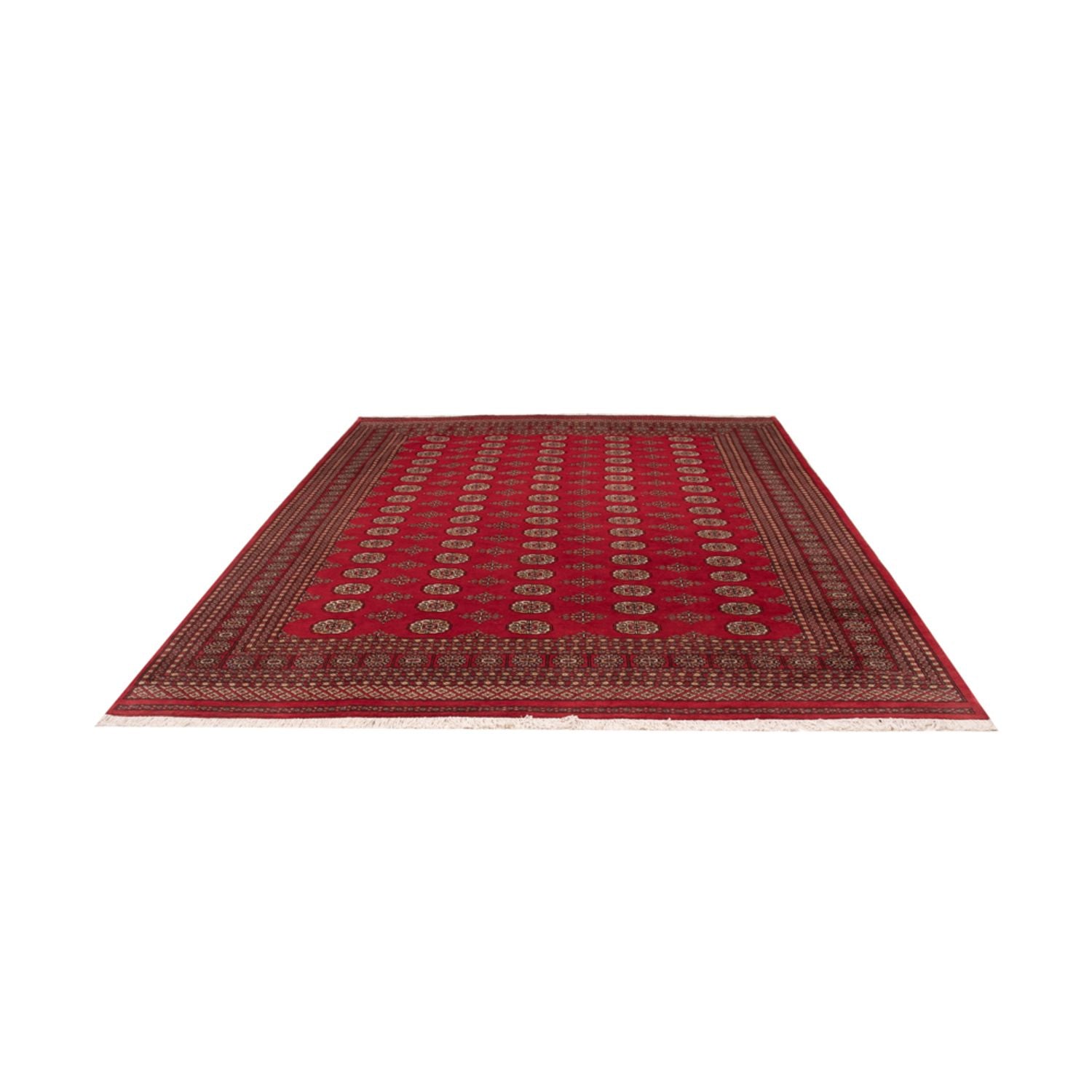 Alfombra afgana - Bukhara - 321 x 247 cm - rojo