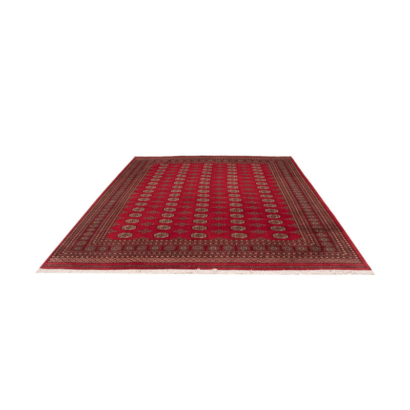 Alfombra afgana - Bukhara - 321 x 247 cm - rojo