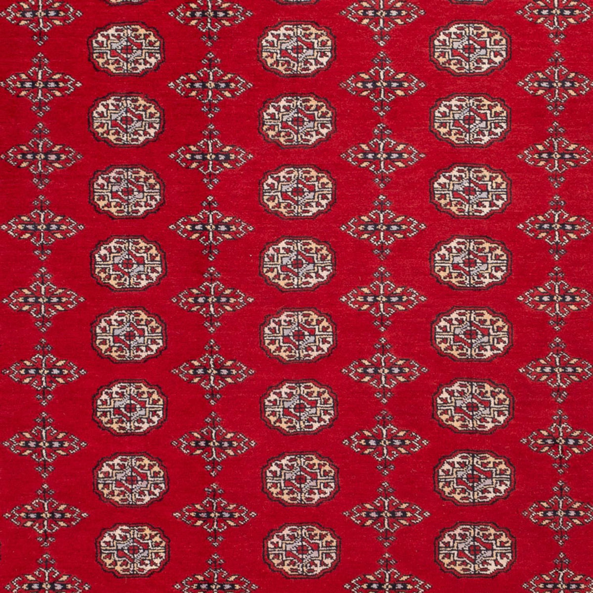 Alfombra afgana - Bukhara - 318 x 247 cm - rojo
