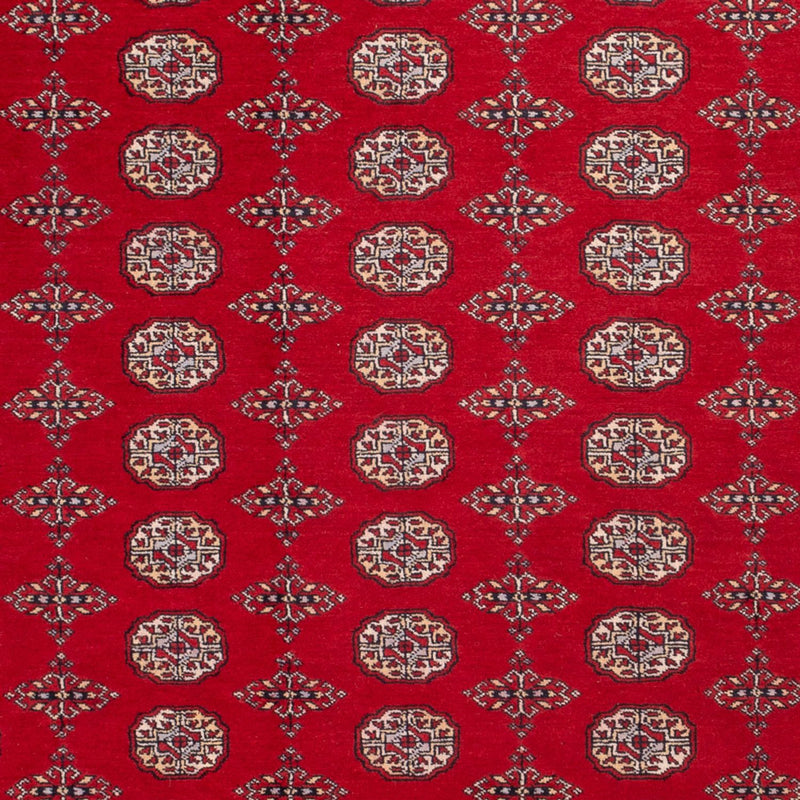Alfombra afgana - Bukhara - 318 x 247 cm - rojo