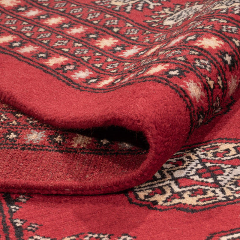 Alfombra afgana - Bukhara - 318 x 247 cm - rojo
