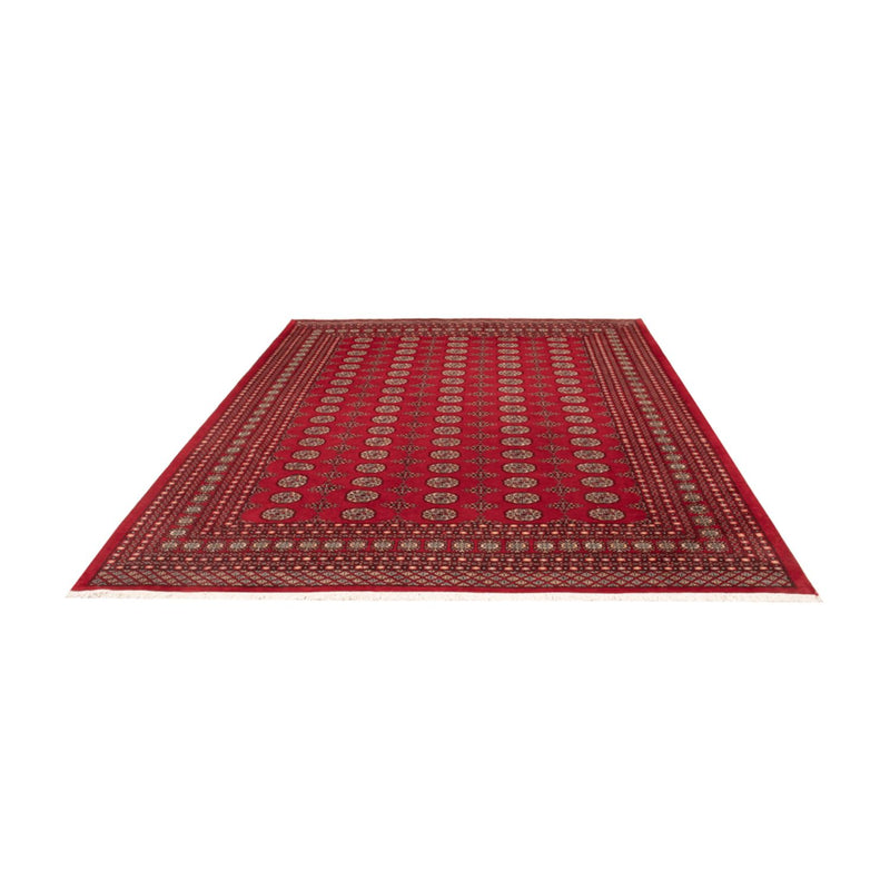 Alfombra afgana - Bukhara - 318 x 247 cm - rojo