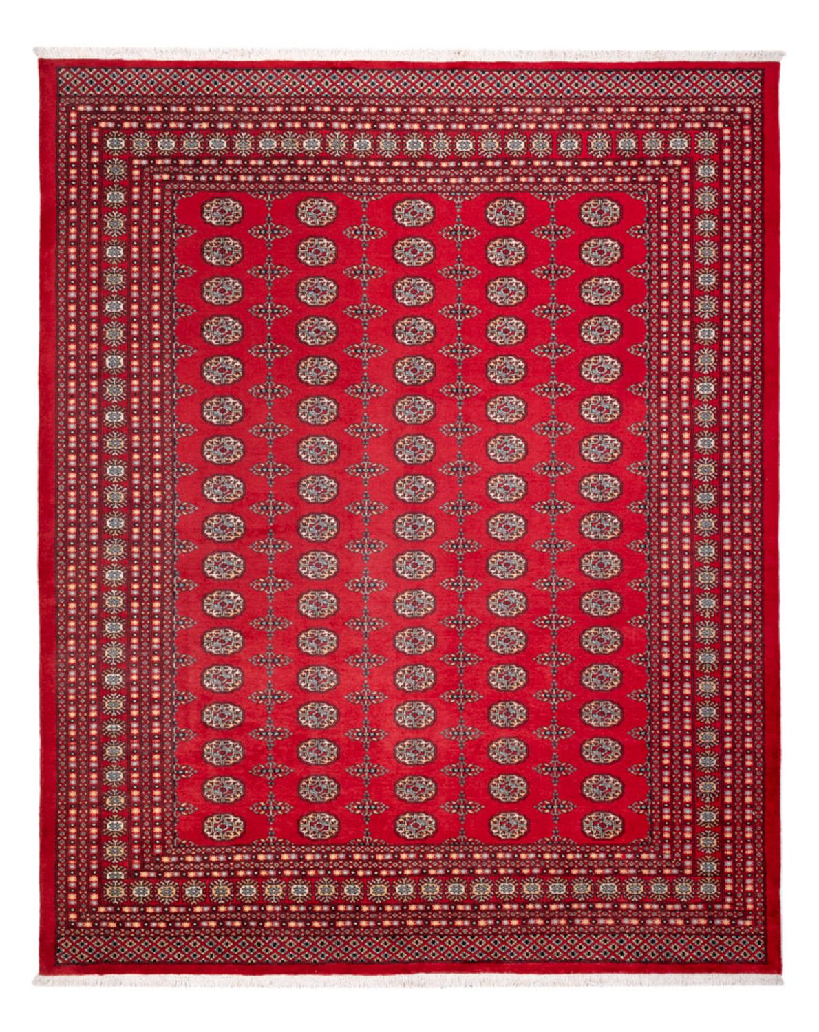 Alfombra afgana - Bukhara - 310 x 250 cm - rojo