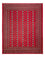 Alfombra afgana - Bukhara - 310 x 250 cm - rojo