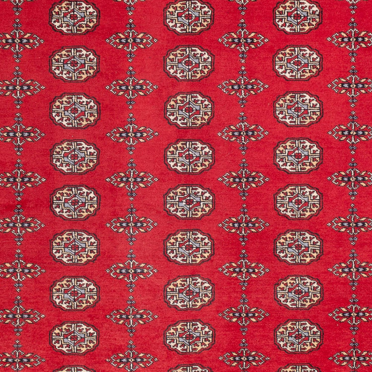 Alfombra afgana - Bukhara - 310 x 250 cm - rojo