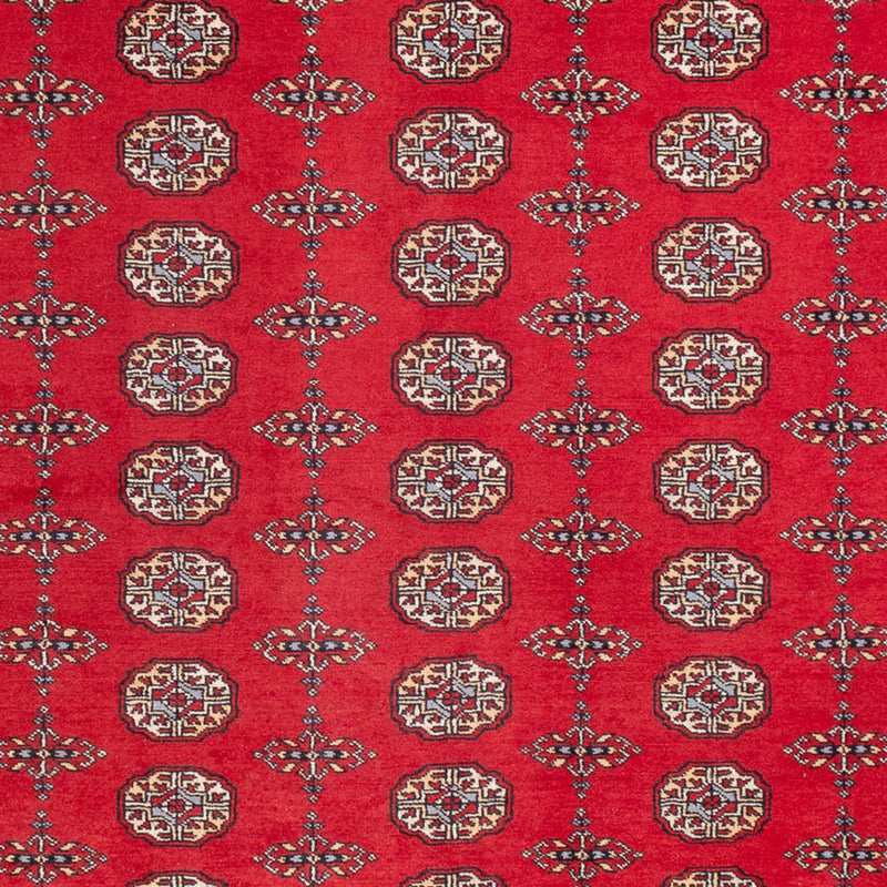 Alfombra afgana - Bukhara - 310 x 250 cm - rojo