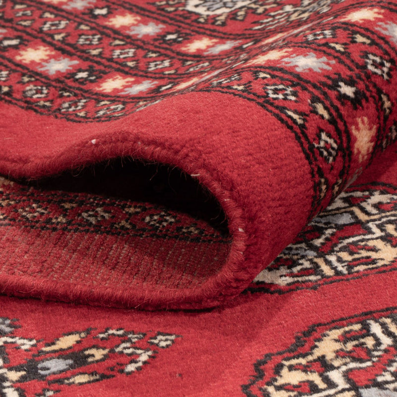 Alfombra afgana - Bukhara - 310 x 250 cm - rojo
