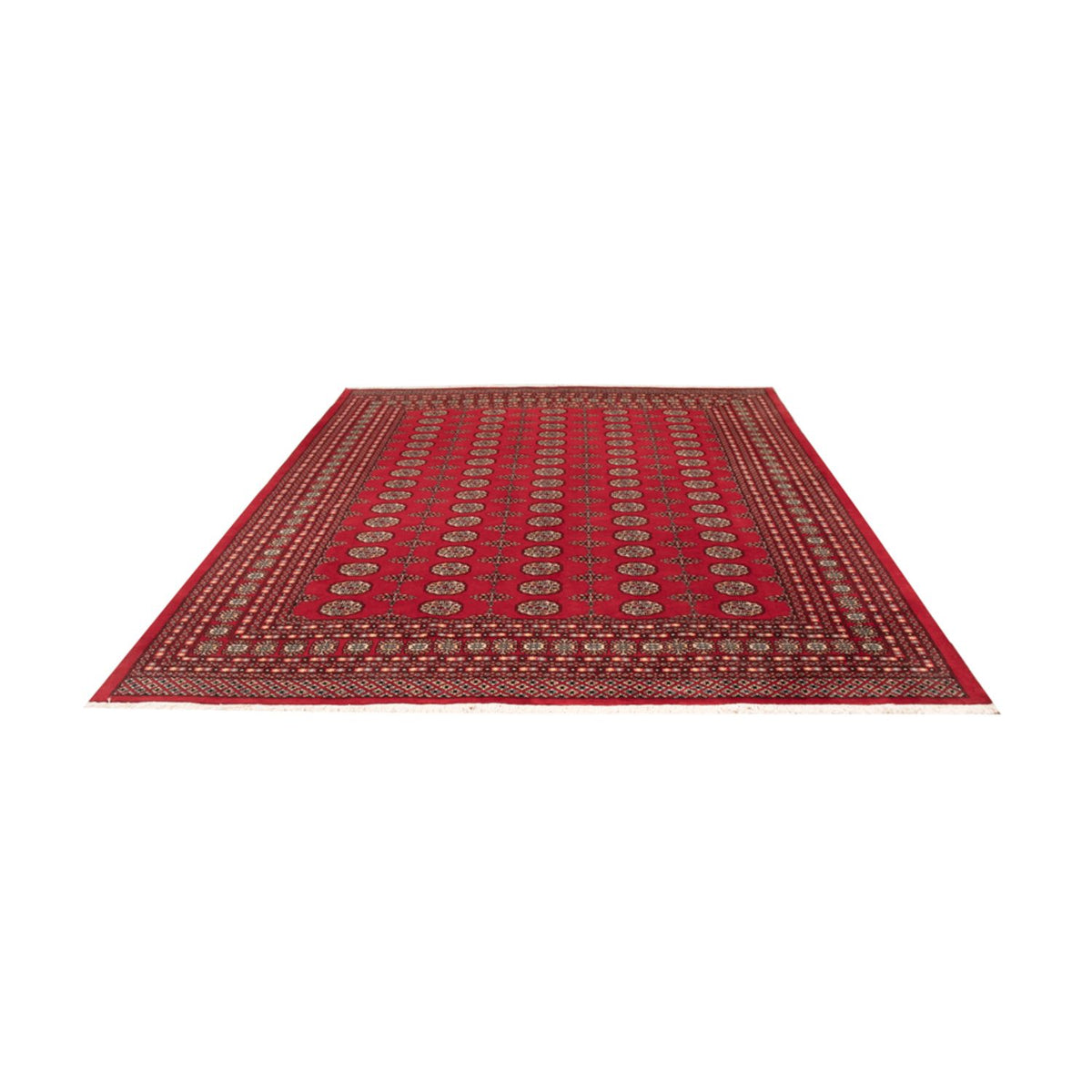 Alfombra afgana - Bukhara - 310 x 250 cm - rojo