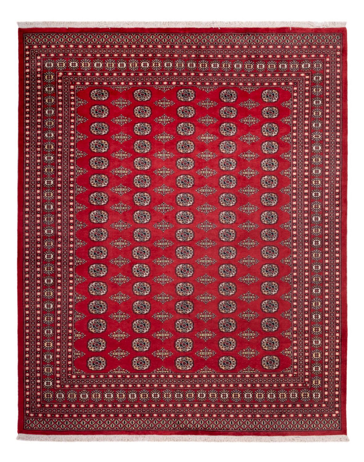 Alfombra afgana - Bukhara - 315 x 248 cm - rojo