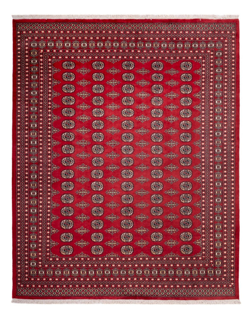 Alfombra afgana - Bukhara - 315 x 248 cm - rojo