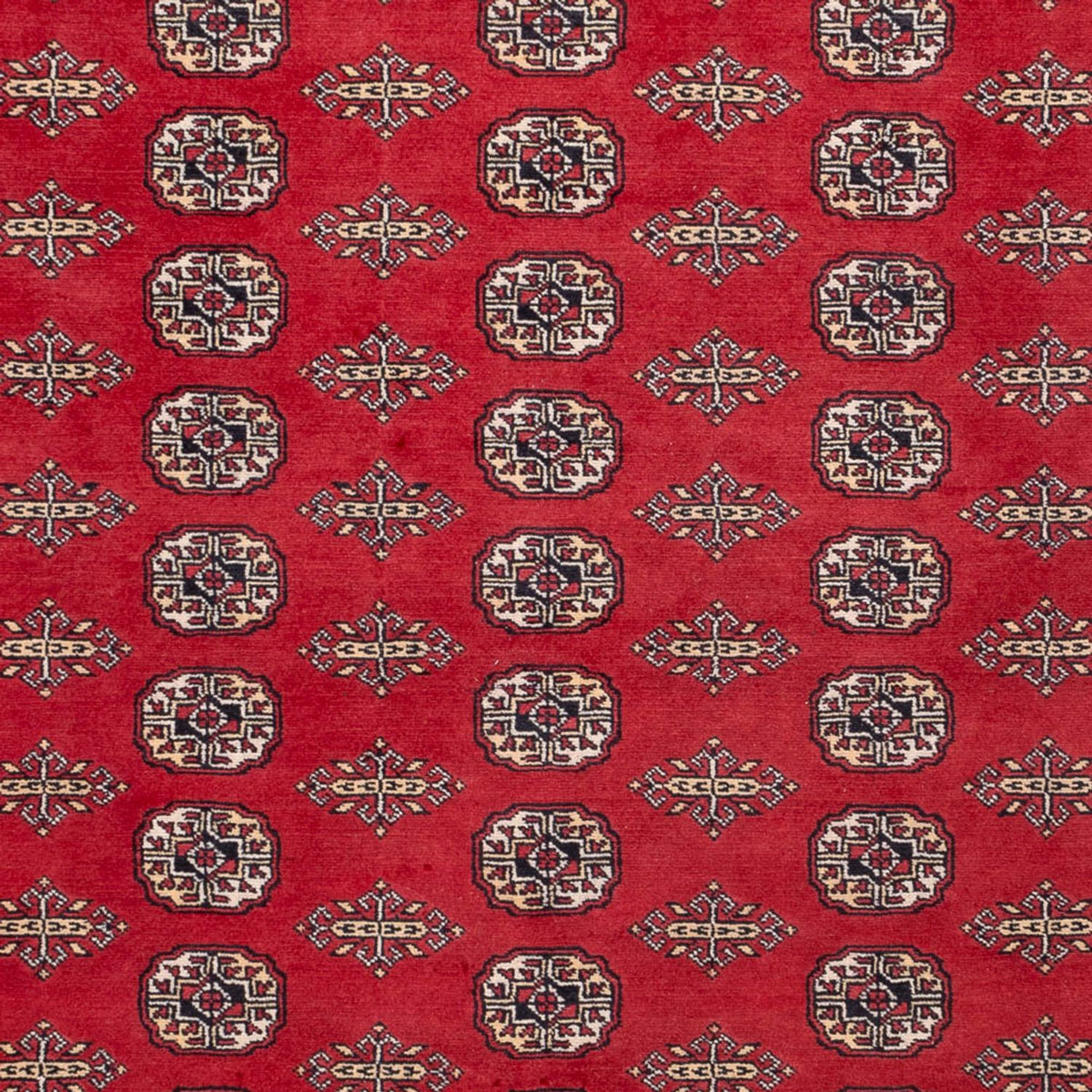 Alfombra afgana - Bukhara - 315 x 248 cm - rojo