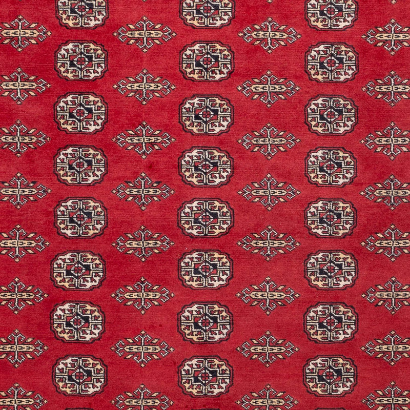 Alfombra afgana - Bukhara - 315 x 248 cm - rojo