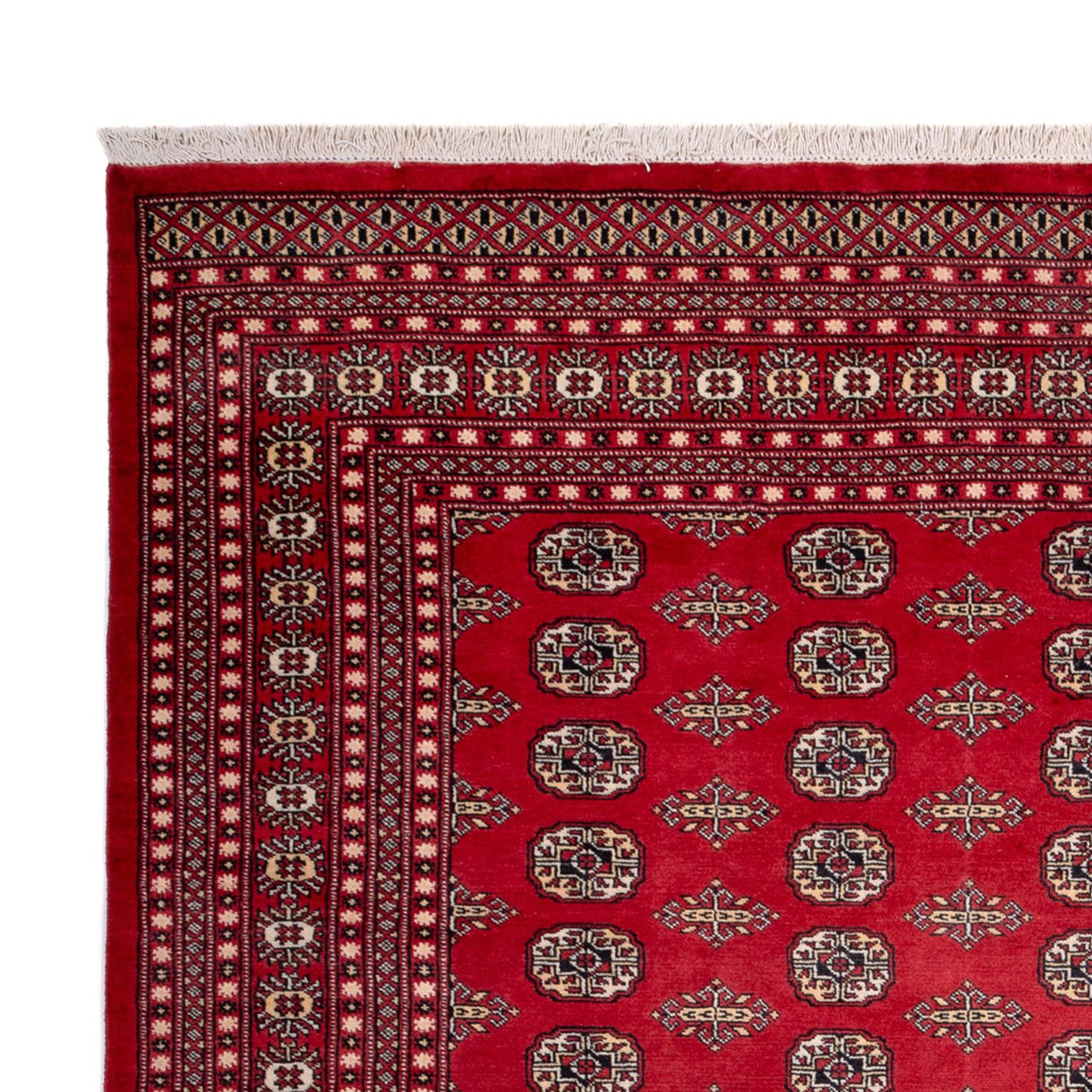 Alfombra afgana - Bukhara - 315 x 248 cm - rojo