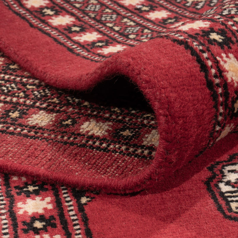 Alfombra afgana - Bukhara - 315 x 248 cm - rojo