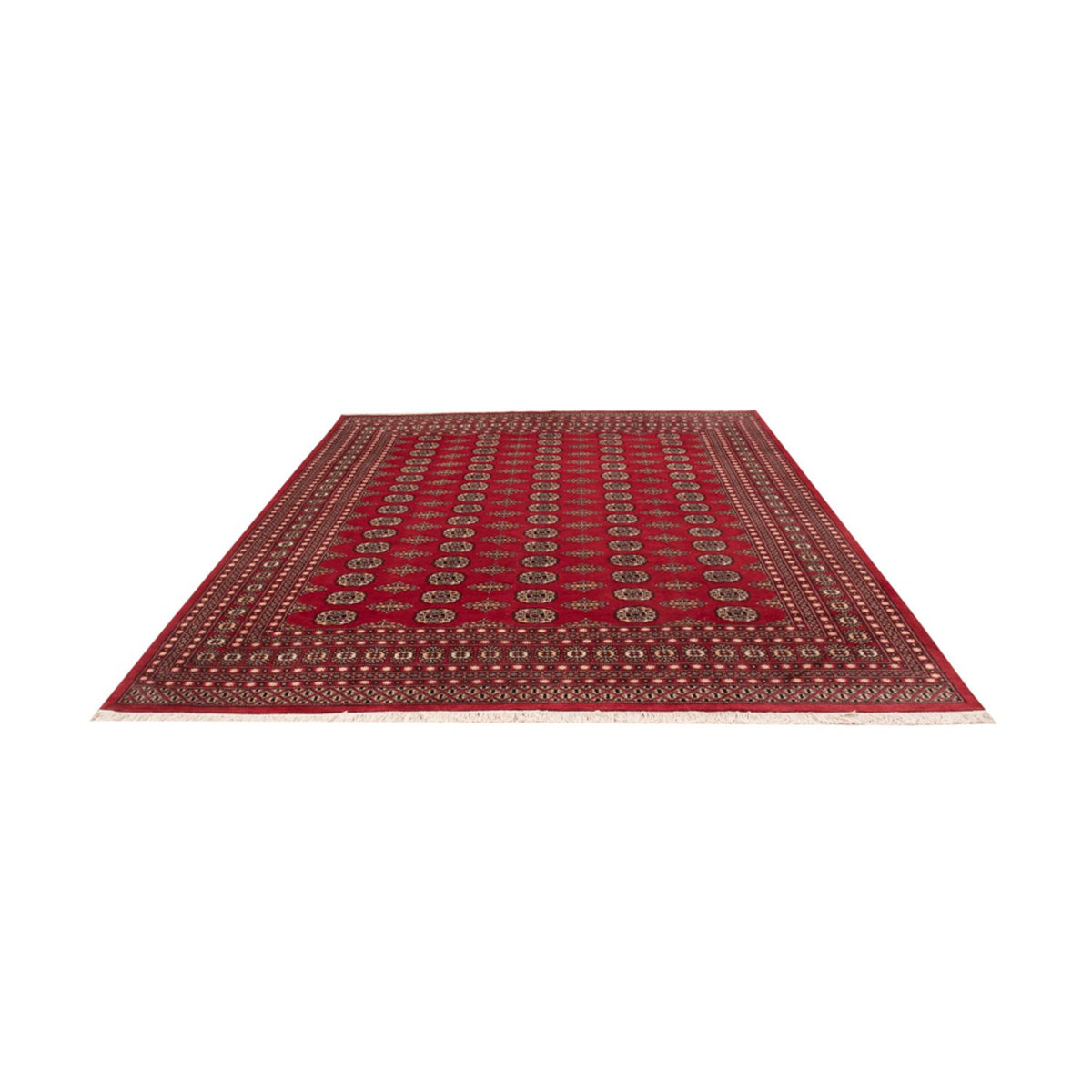 Alfombra afgana - Bukhara - 315 x 248 cm - rojo