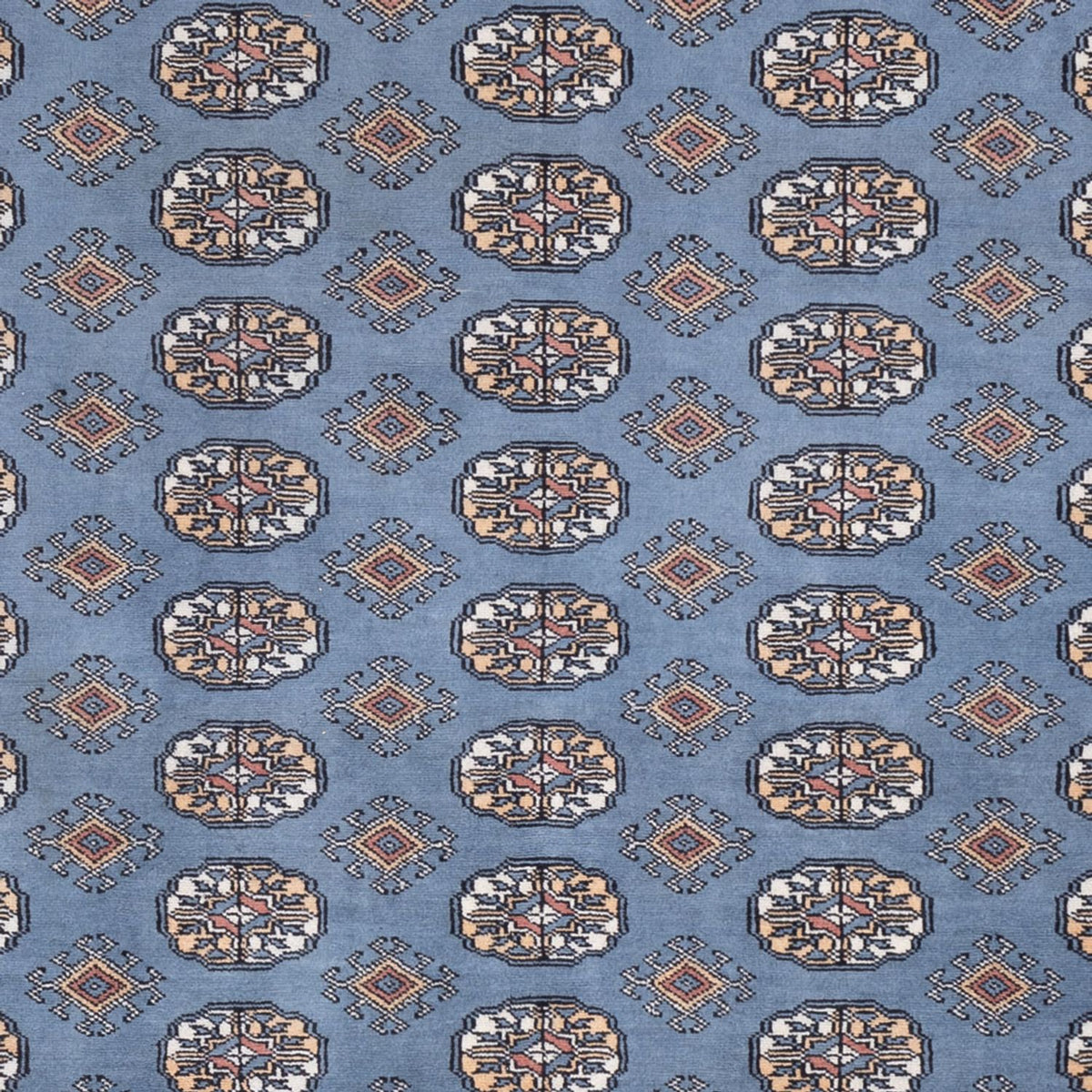 Alfombra afgana - Bukhara - 309 x 248 cm - azul marino