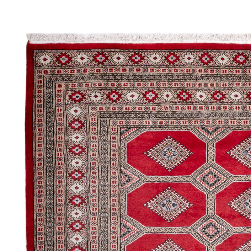 Alfombra afgana - Bukhara - 287 x 220 cm - rojo