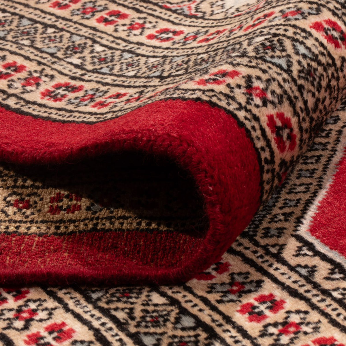 Alfombra afgana - Bukhara - 287 x 220 cm - rojo