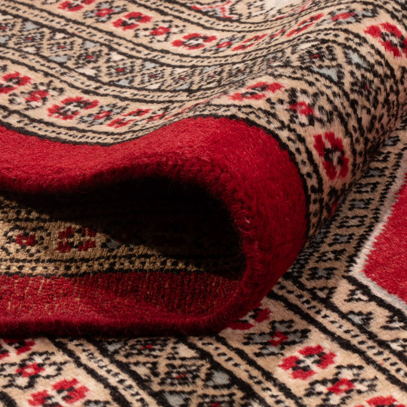 Alfombra afgana - Bukhara - 287 x 220 cm - rojo