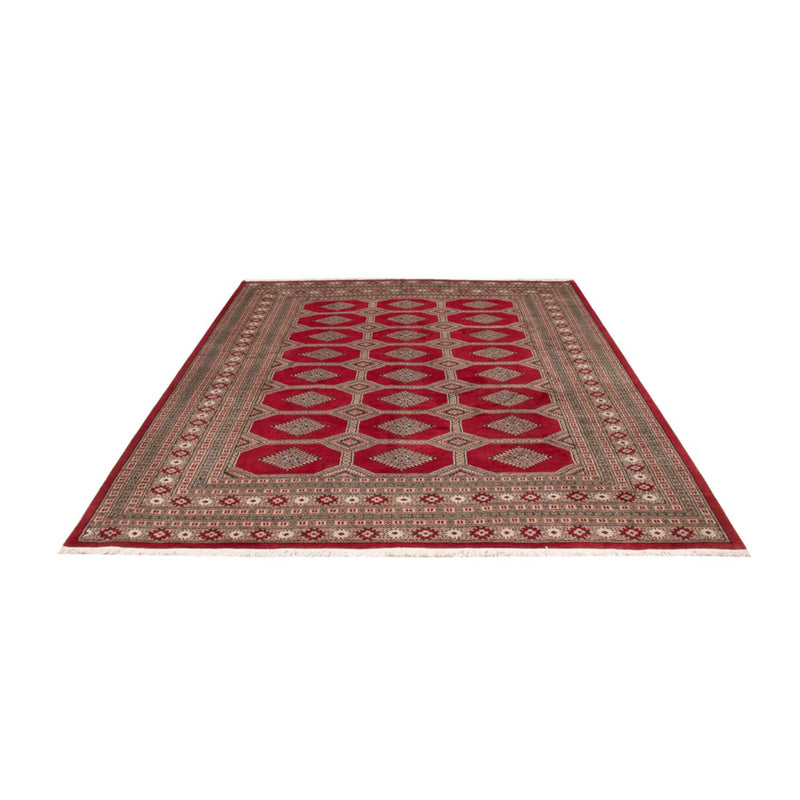 Alfombra afgana - Bukhara - 287 x 220 cm - rojo