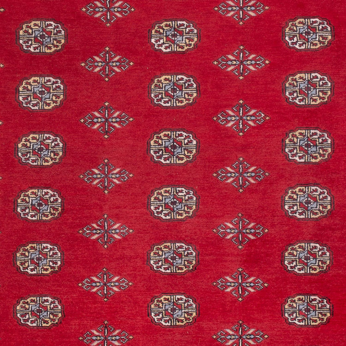 Alfombra afgana - Bukhara - 307 x 202 cm - rojo