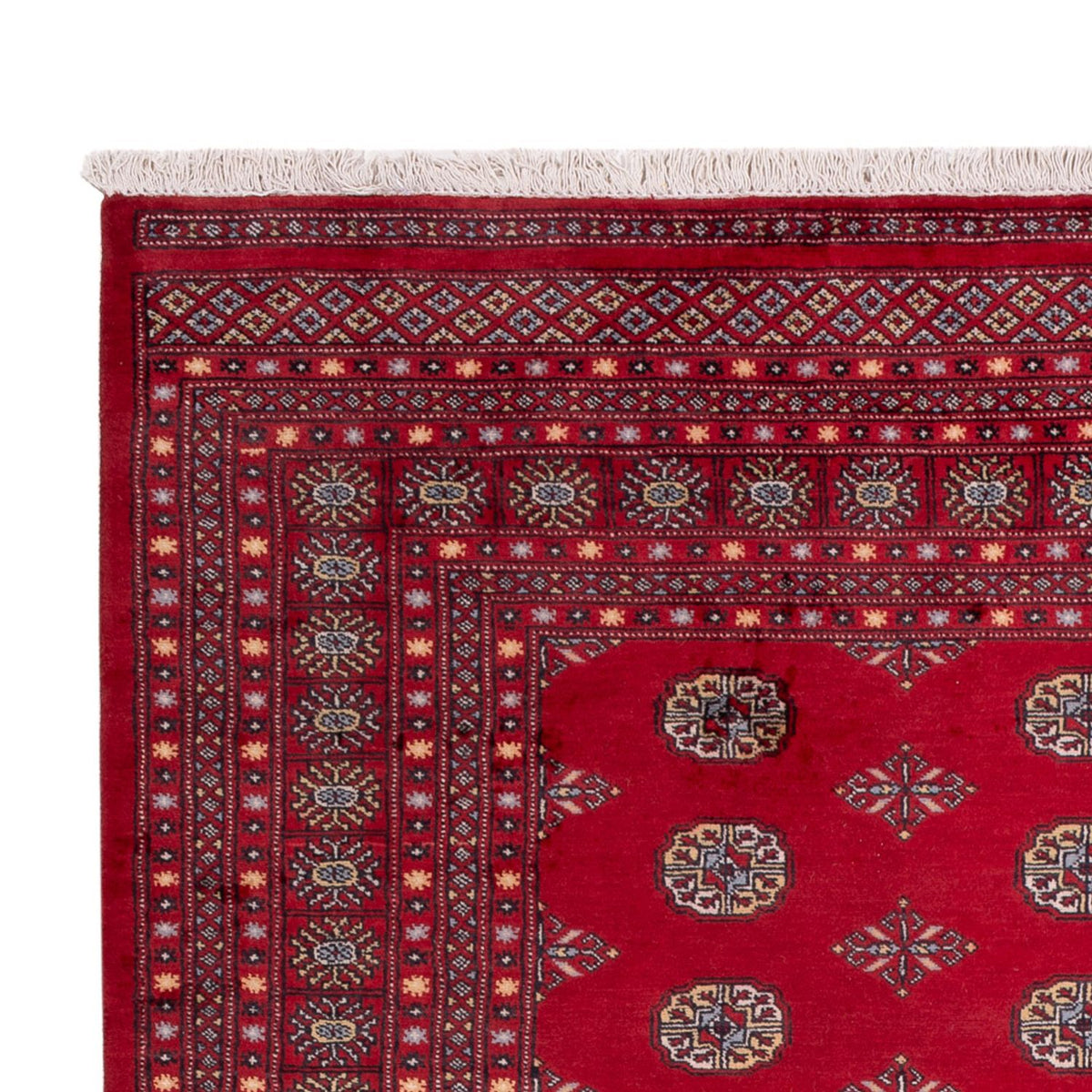 Alfombra afgana - Bukhara - 307 x 202 cm - rojo