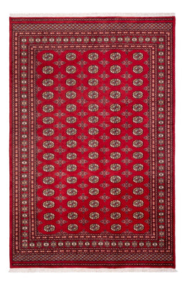 Alfombra afgana - Bukhara - 298 x 198 cm - rojo