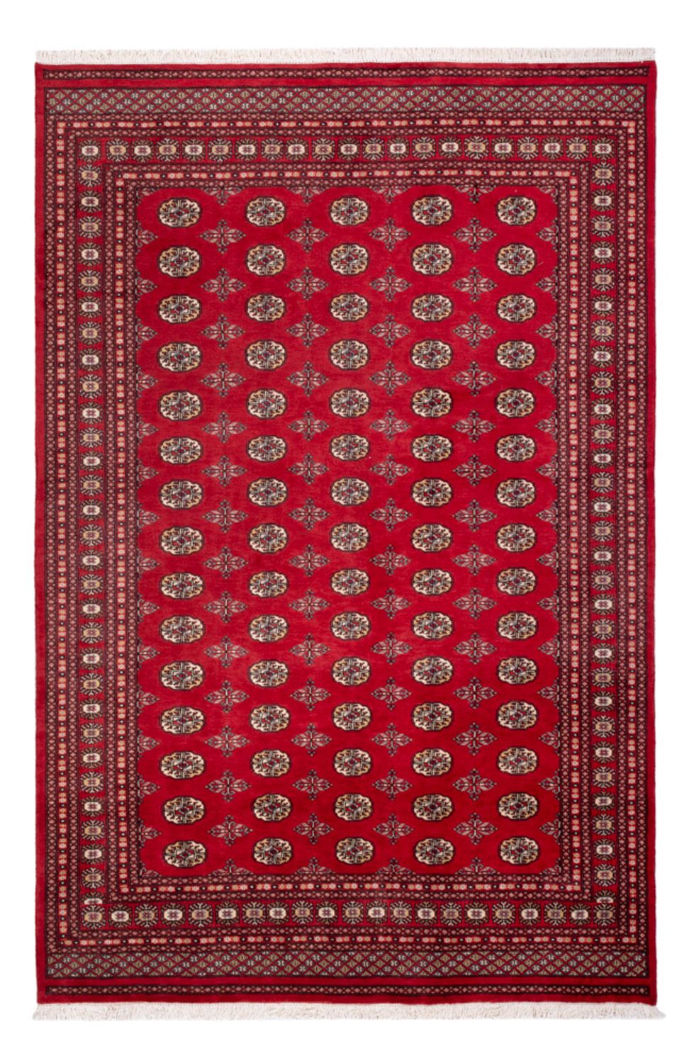 Alfombra afgana - Bukhara - 298 x 198 cm - rojo