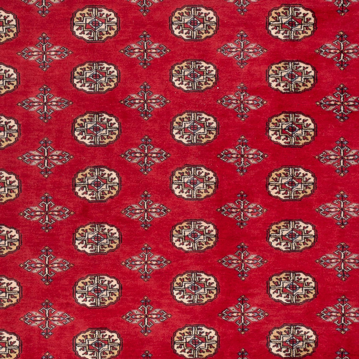 Alfombra afgana - Bukhara - 298 x 198 cm - rojo