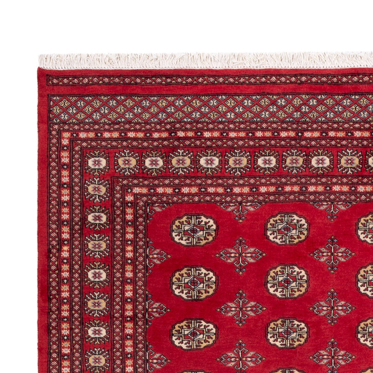 Bukhara Alfombra 198x298cm - Alfombra oriental