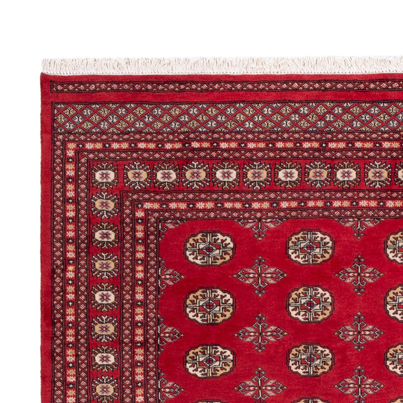 Alfombra afgana - Bukhara - 298 x 198 cm - rojo