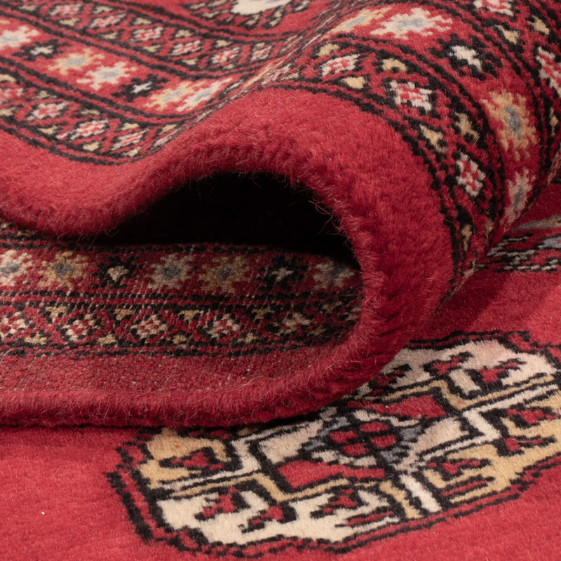 Alfombra afgana - Bukhara - 298 x 198 cm - rojo