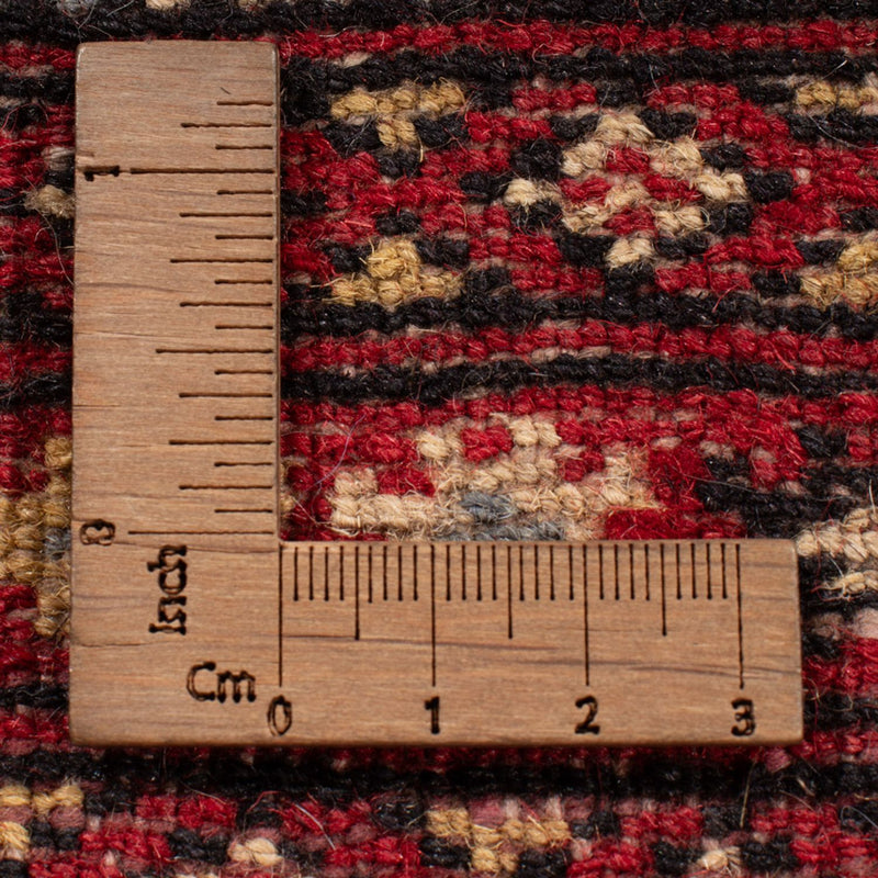 Alfombra afgana - Bukhara - 298 x 198 cm - rojo