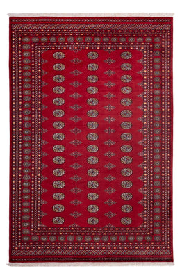 Alfombra afgana - Bukhara - 302 x 202 cm - rojo