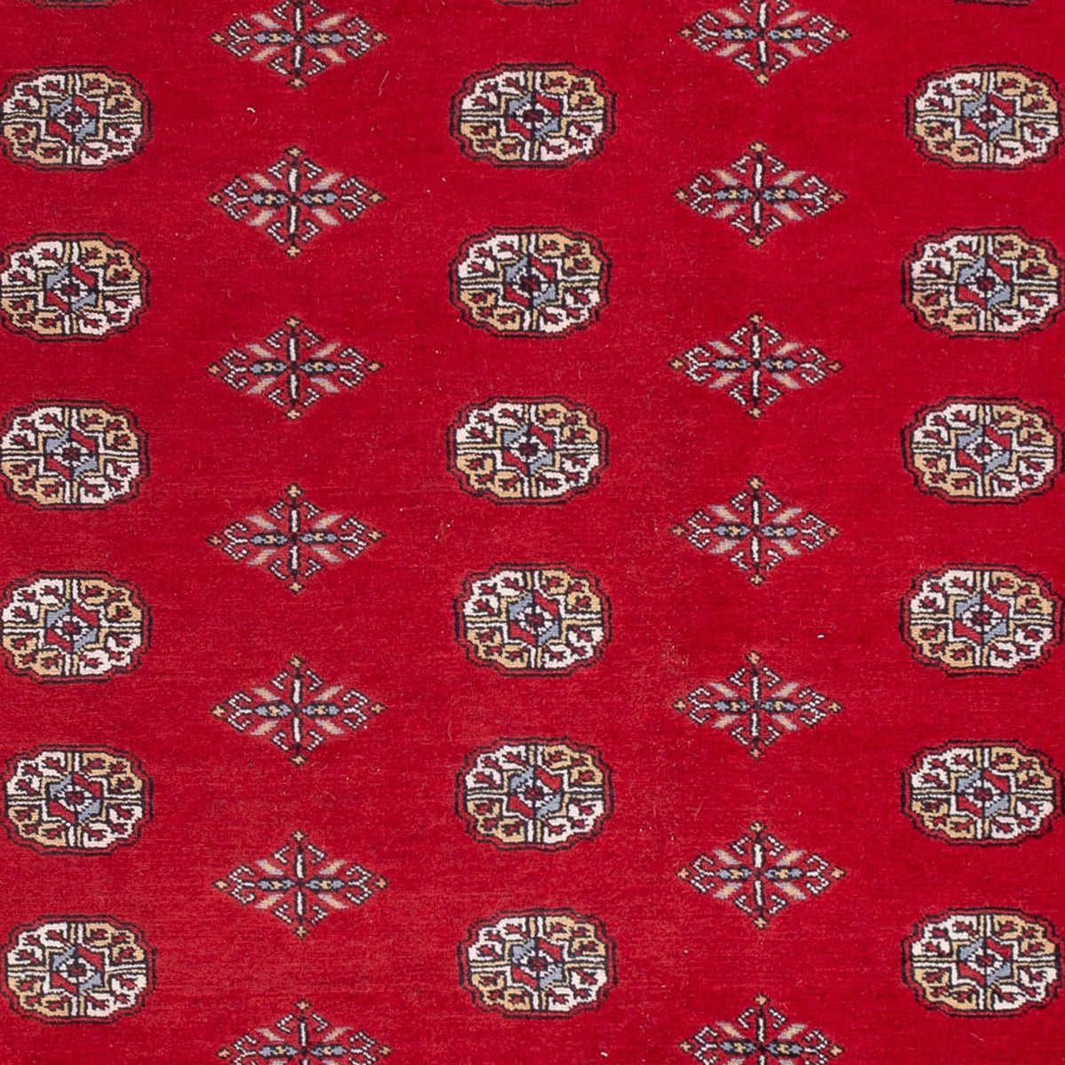 Alfombra afgana - Bukhara - 303 x 205 cm - rojo
