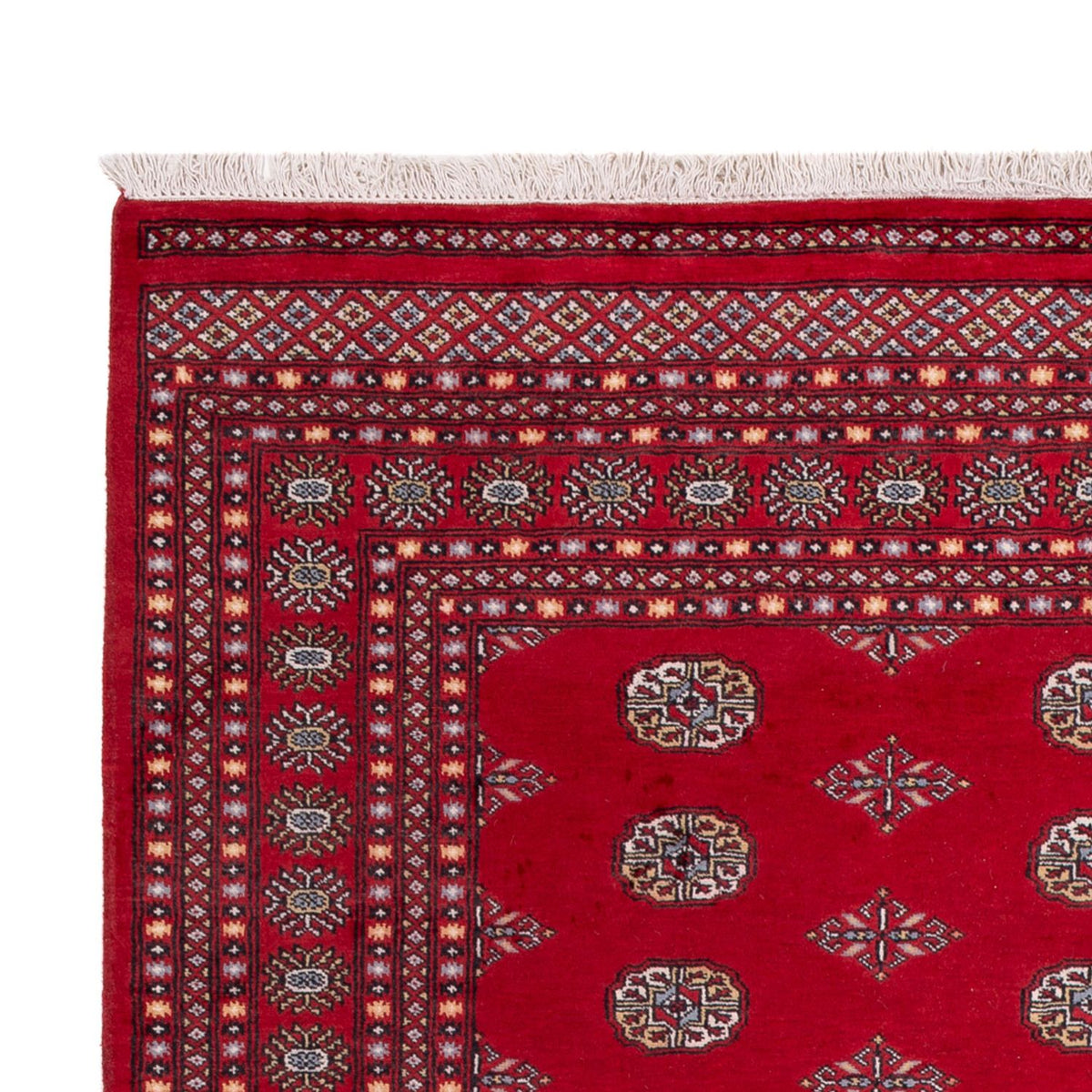 Alfombra afgana - Bukhara - 303 x 205 cm - rojo