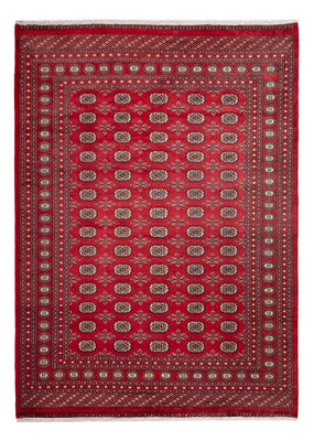Alfombra afgana - Bukhara - 297 x 220 cm - rojo