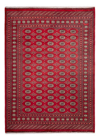 Alfombra afgana - Bukhara - 297 x 220 cm - rojo