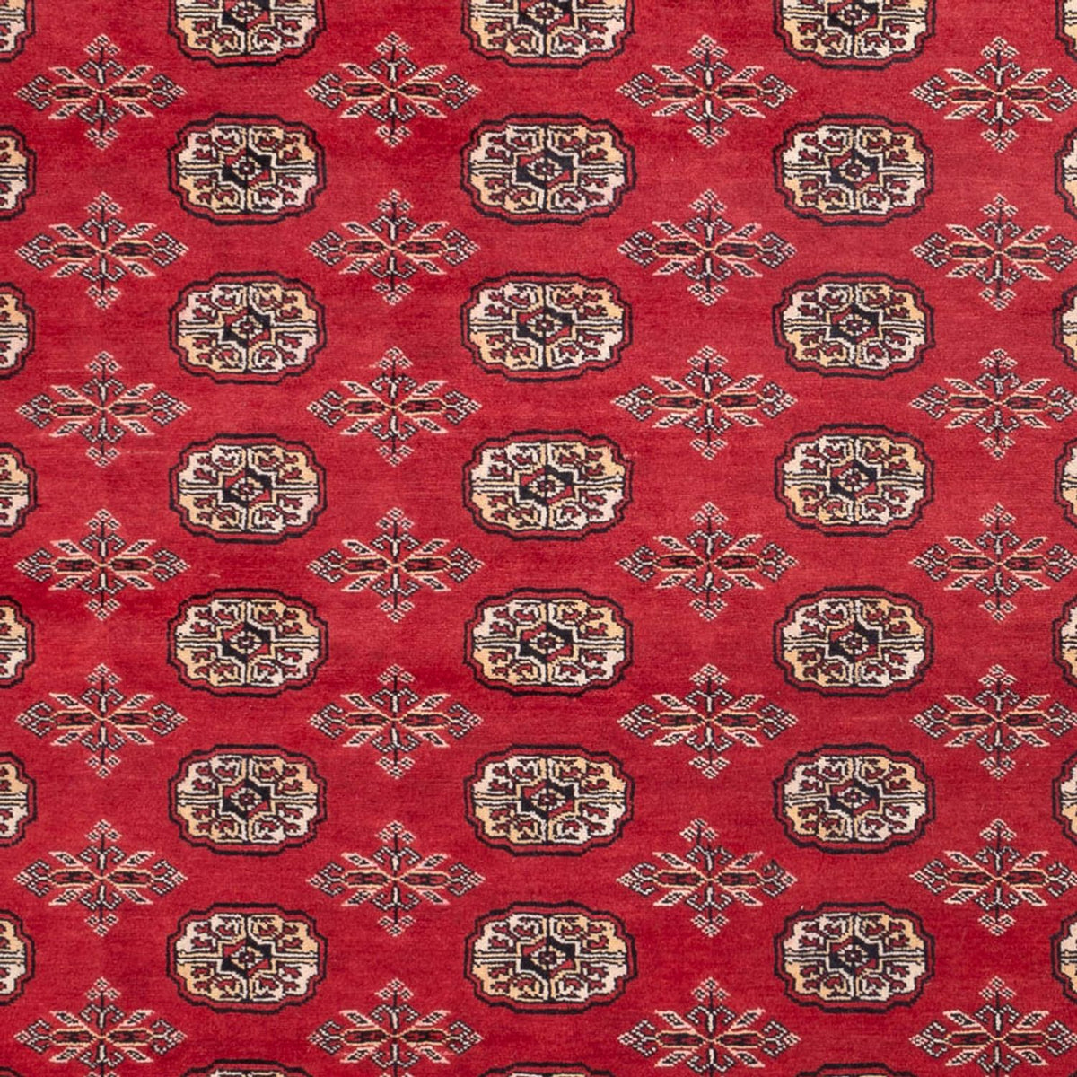 Alfombra afgana - Bukhara - 297 x 220 cm - rojo