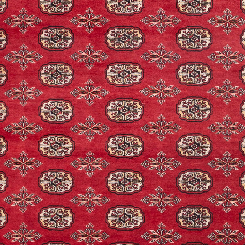 Alfombra afgana - Bukhara - 297 x 220 cm - rojo
