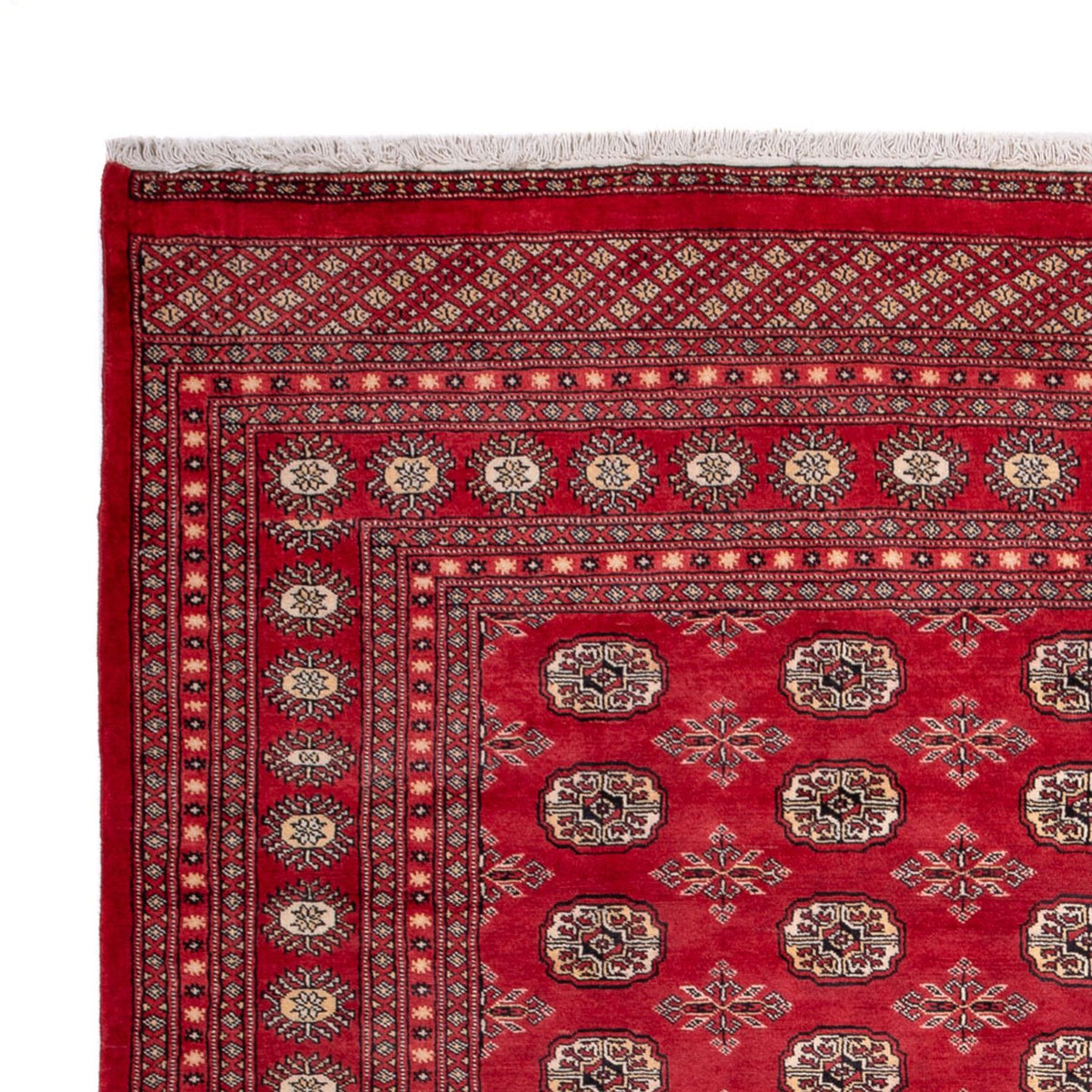 Alfombra afgana - Bukhara - 297 x 220 cm - rojo