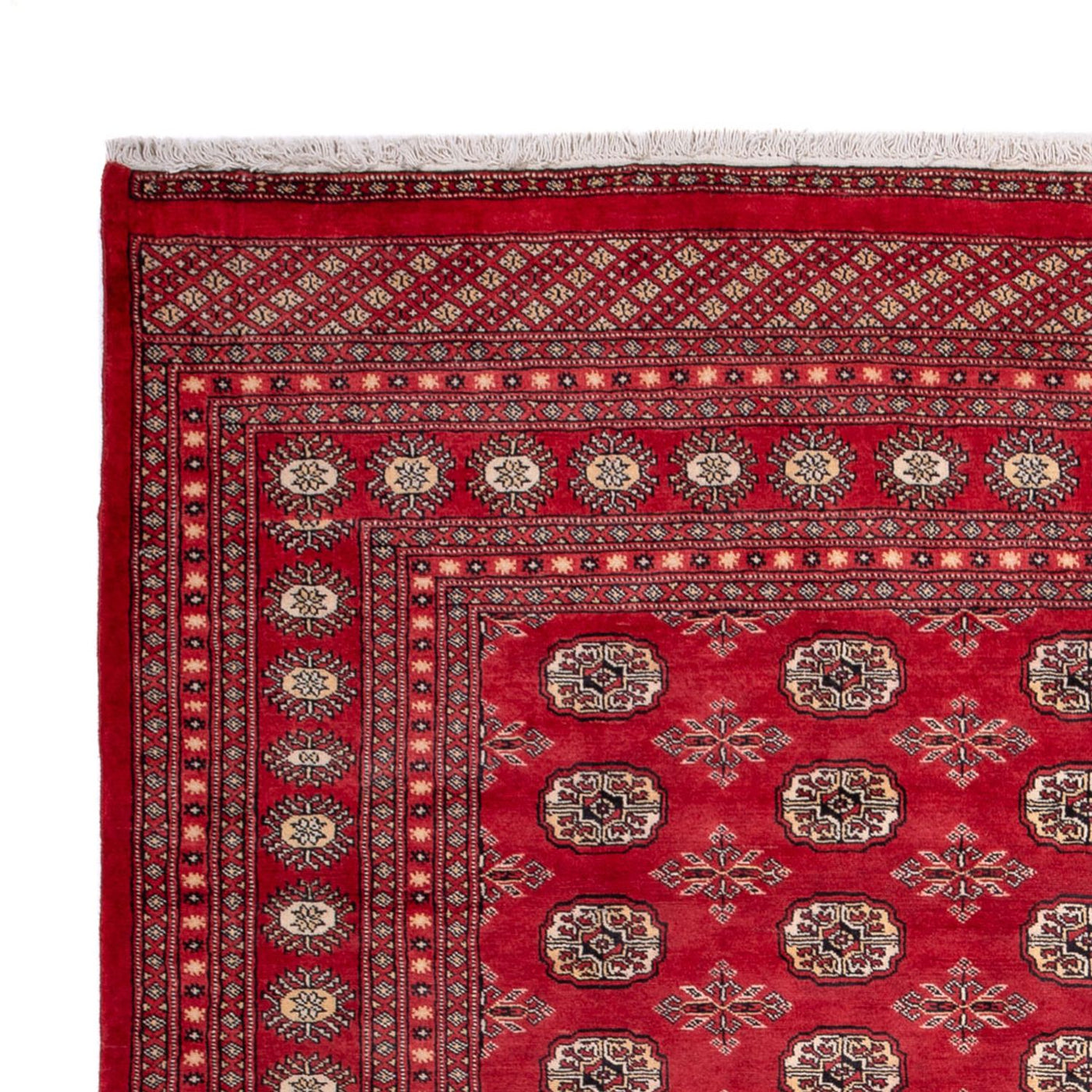 Bujará Alfombra 297x220cm - Alfombra oriental
