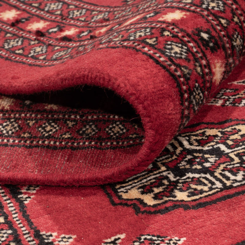 Alfombra afgana - Bukhara - 297 x 220 cm - rojo