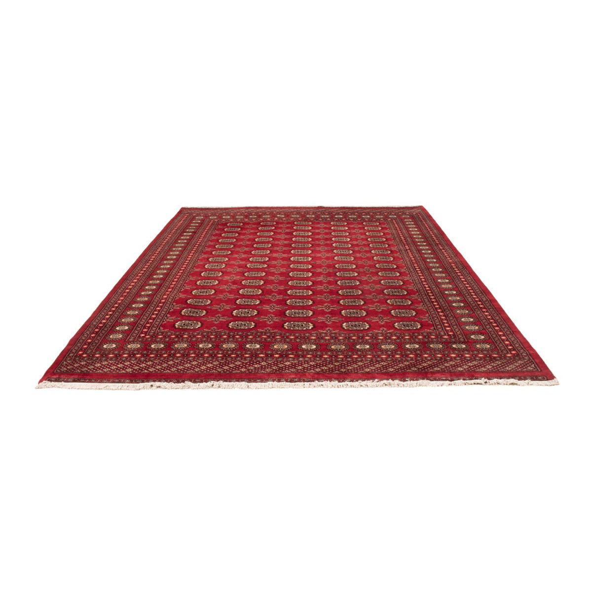 Alfombra afgana - Bukhara - 297 x 220 cm - rojo