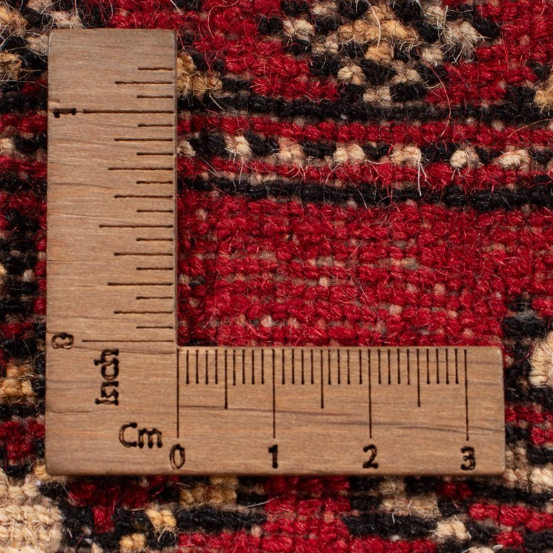 Alfombra afgana - Bukhara - 297 x 220 cm - rojo