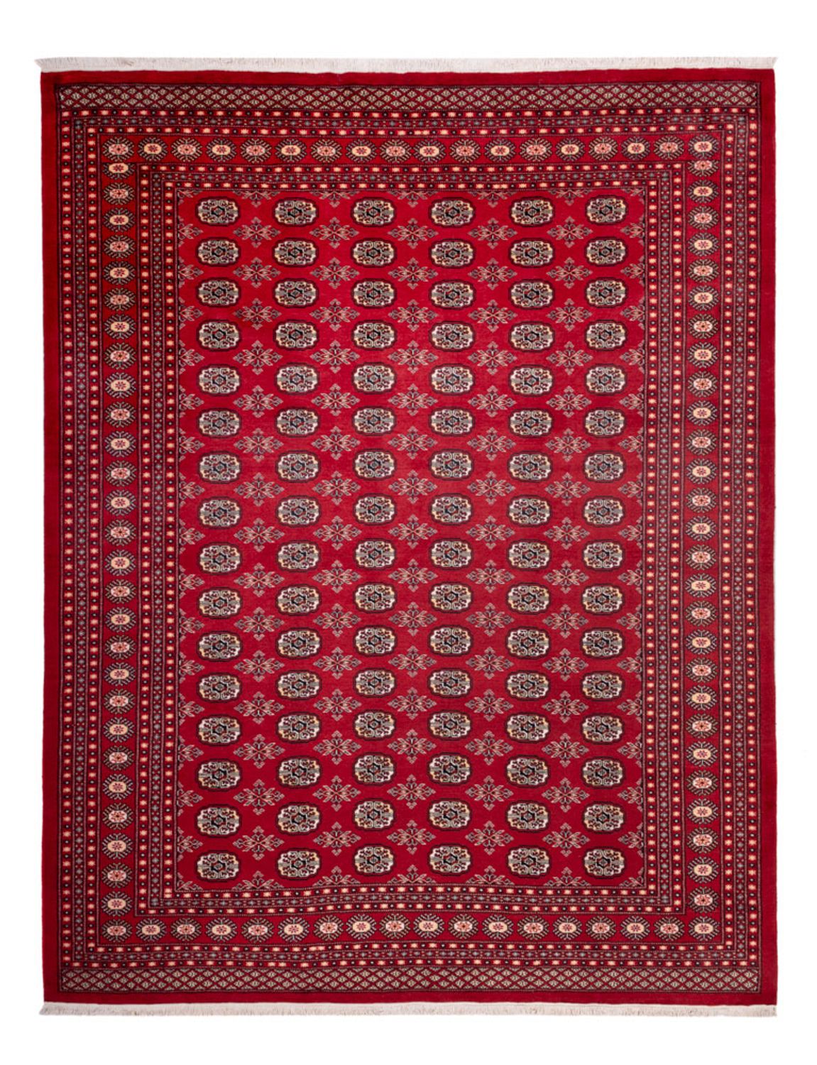 Alfombra afgana - Bukhara - 322 x 248 cm - rojo